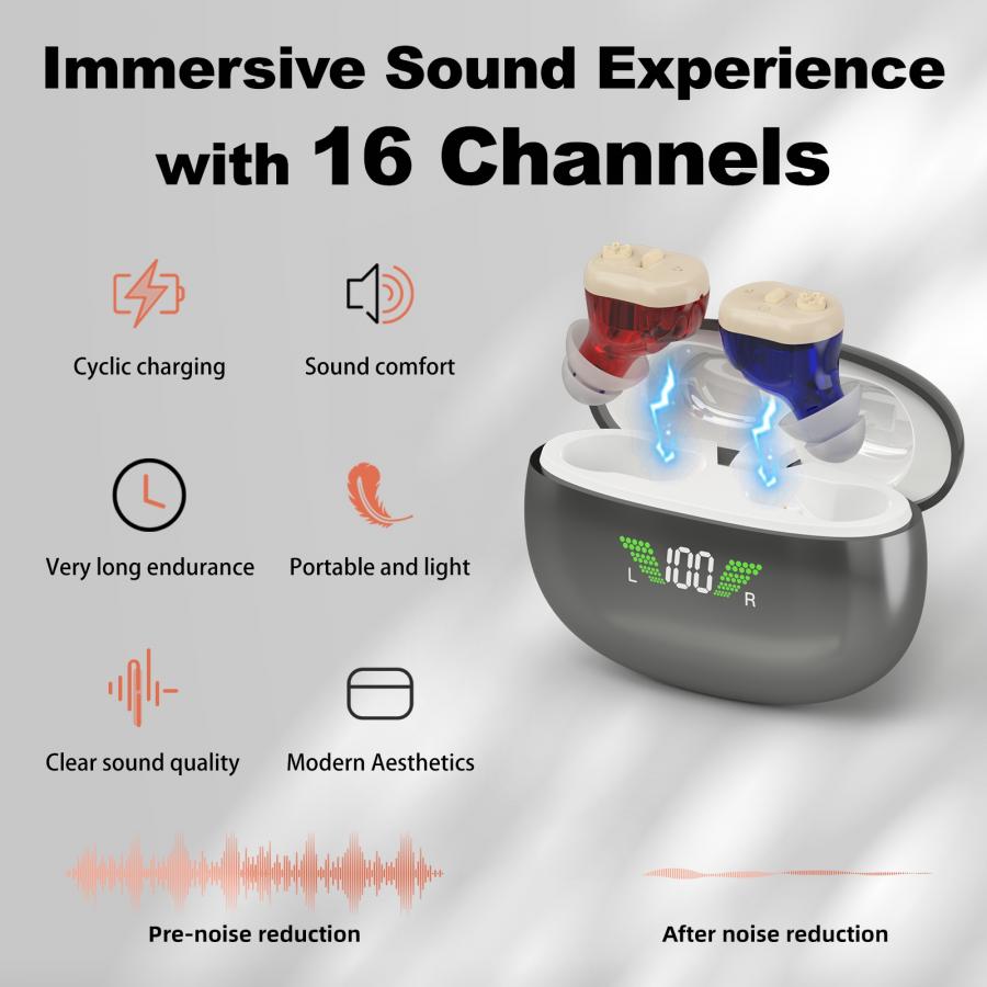Rechargeable CIC Hearing Aid Noise Reduction