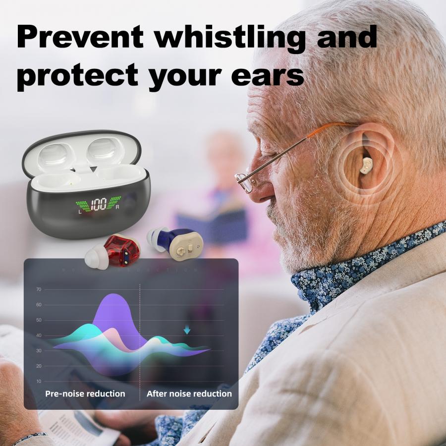 Rechargeable CIC Hearing Aid Noise Reduction