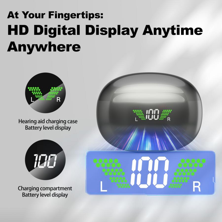 Rechargeable CIC Hearing Aid Noise Reduction