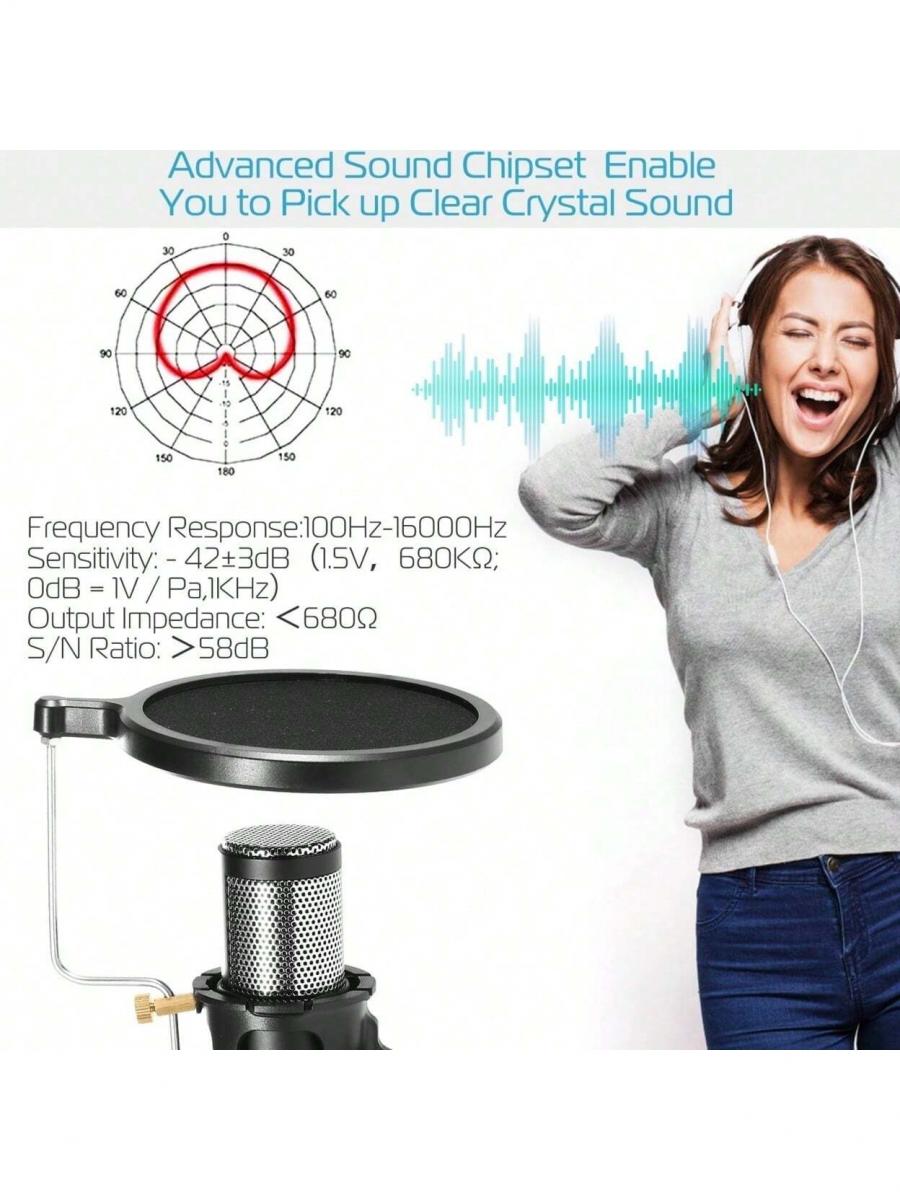 Professionelles Kondensatormikrofon mit Stativ und Pop-Filter