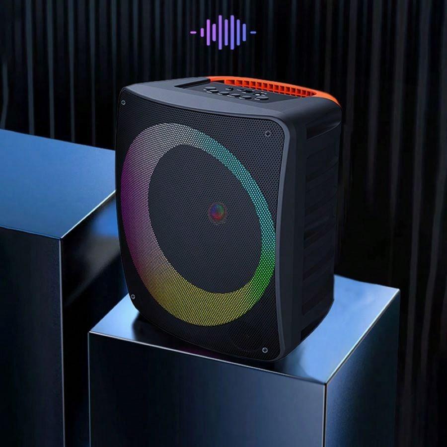 Portable Outdoor Voice Amplifier Speaker with Microphone for Singing