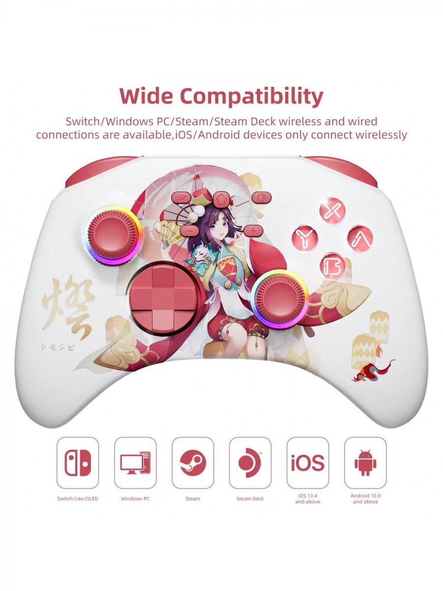 Mytrix Touro Wireless Pro RGB Controller with Back Buttons Turbo