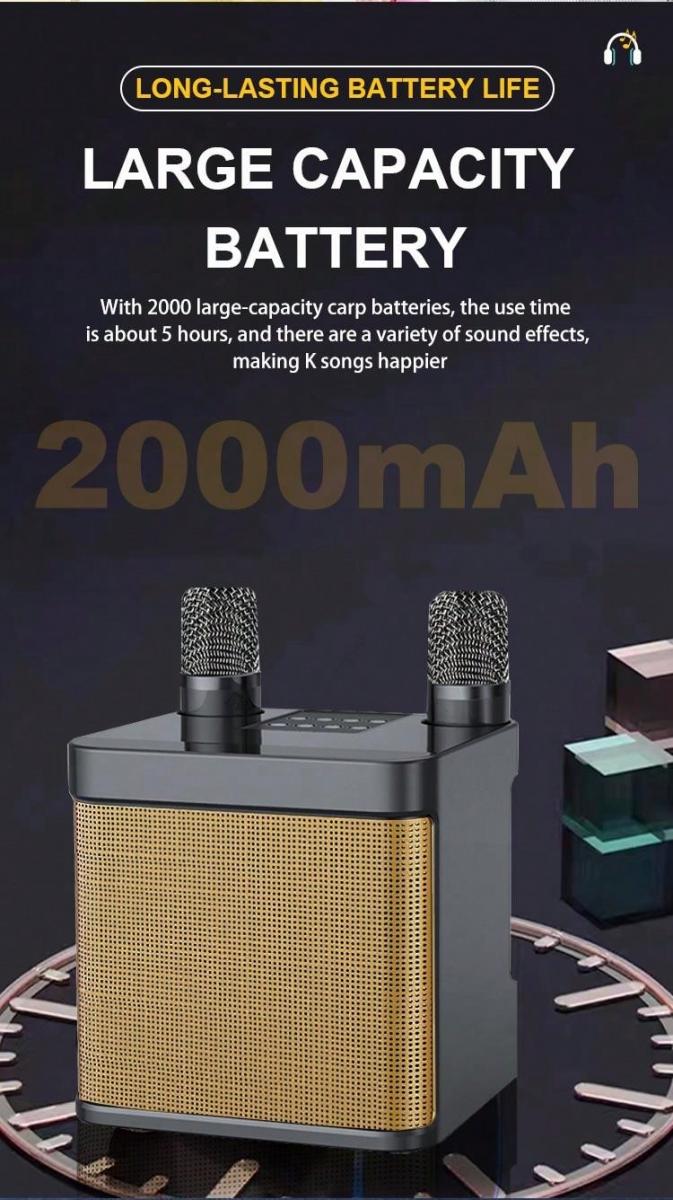Ys 203 Wireless Home TV KTV Speaker Microphone Sound System
