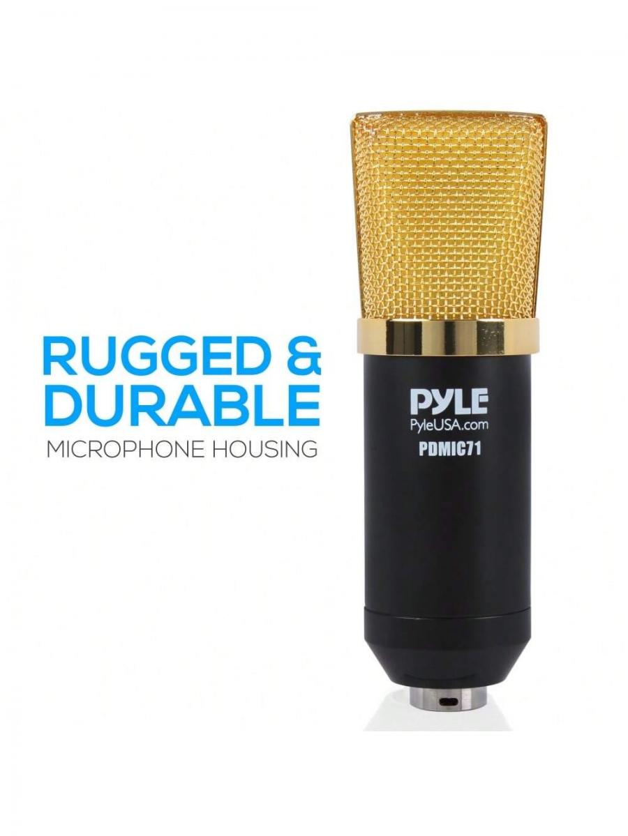 Pro Audio Cardioid Condenser Microphone Kit with Shock Mount XLR Cable