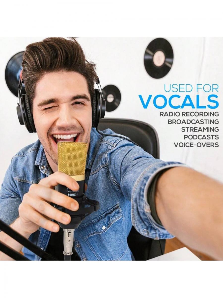 Pro Audio Cardioid Condenser Microphone Kit with Shock Mount XLR Cable