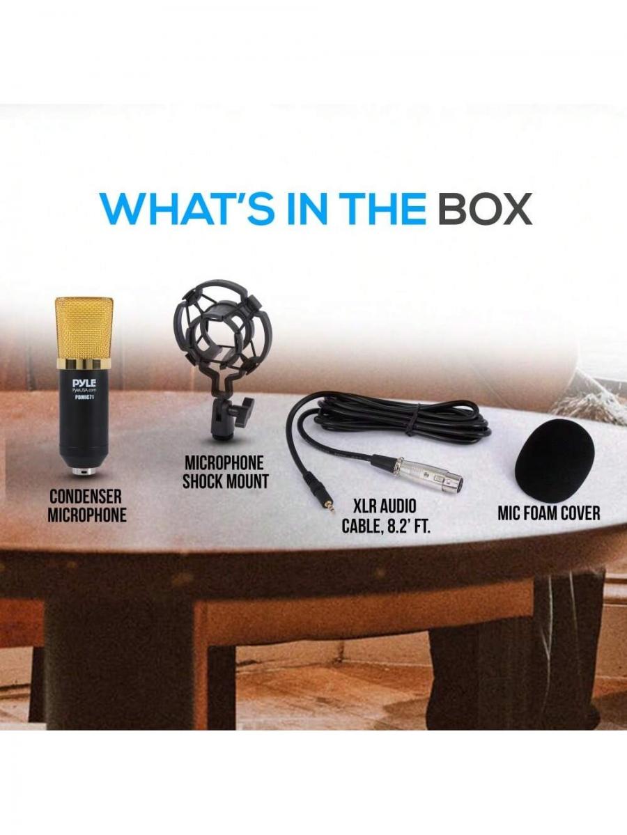 Pro Audio Cardioid Condenser Microphone Kit with Shock Mount XLR Cable