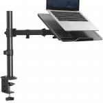 Can this mount hold a dual monitor setup?
