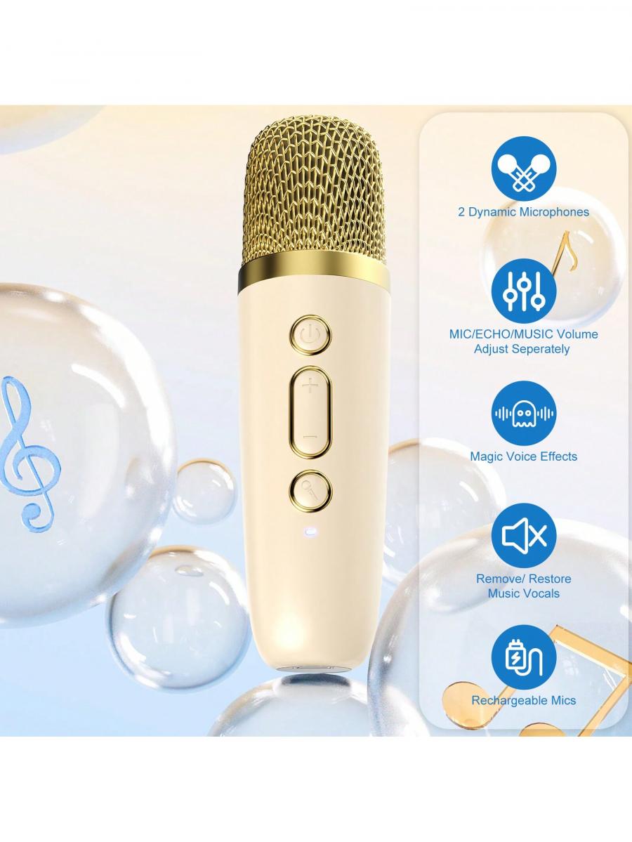 JAUYXIAN Portable Karaoke Machine with Bluetooth Speaker and Lights