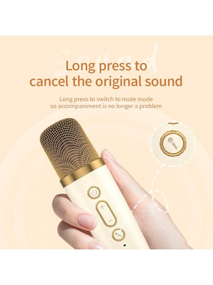 L2 Portable Karaoke Machine with Wireless Microphone and Voice Change