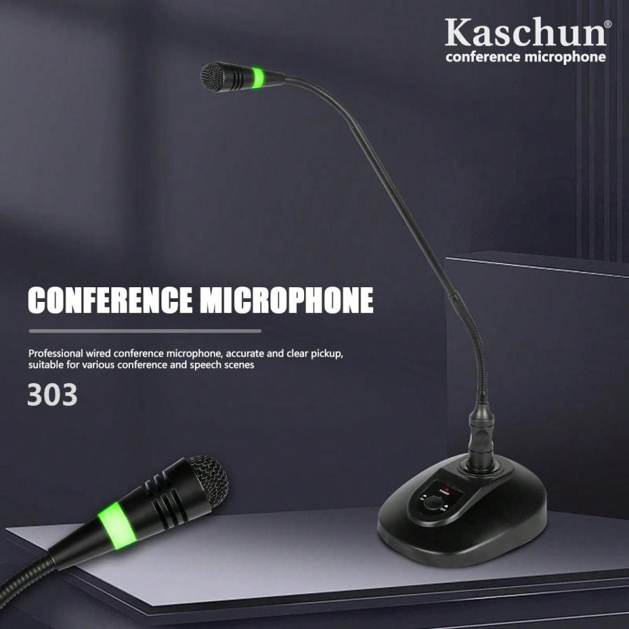 Kaschun 303 Dual Wireless Handheld Microphone System for Performances