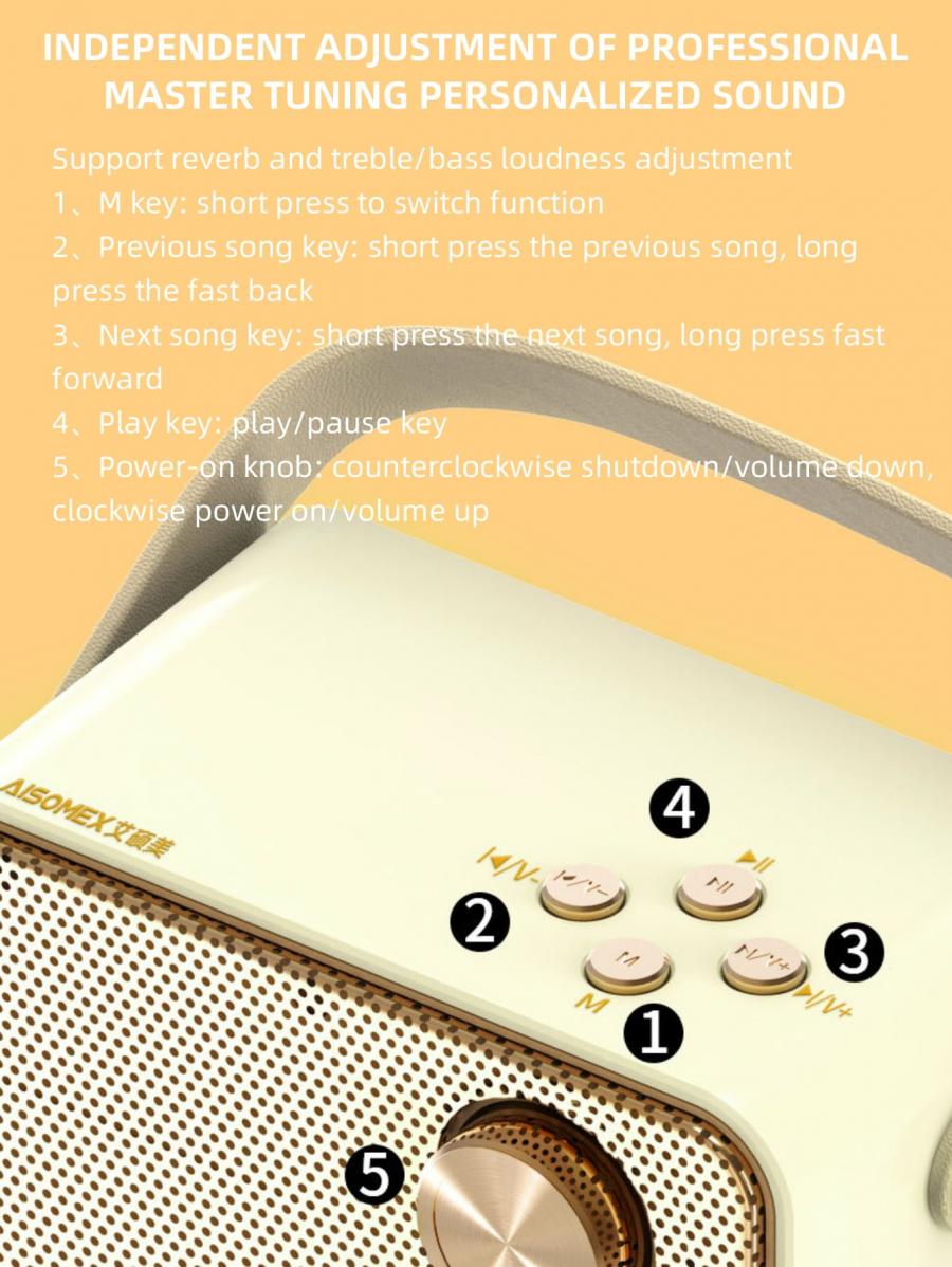 B153 Beige Karaoke Speaker and Microphone Set