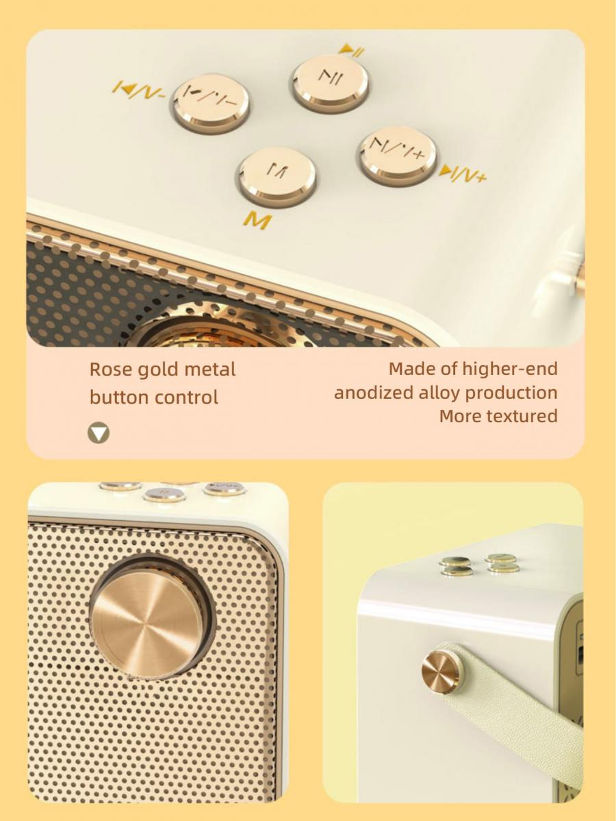 B153 Beige Karaoke Speaker and Microphone Set