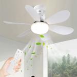 Can I control the light and fan speed with a remote?