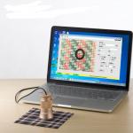 Is this device compatible with Mac computers?